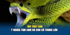 Mơ Thấy Rắn – Ý Nghĩa Tâm Linh Và Con Số Trúng Lớn  