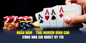 Ngầu Hầm – Trải Nghiệm Đỉnh Cao Cùng Nhà Cái Kubet Uy Tín