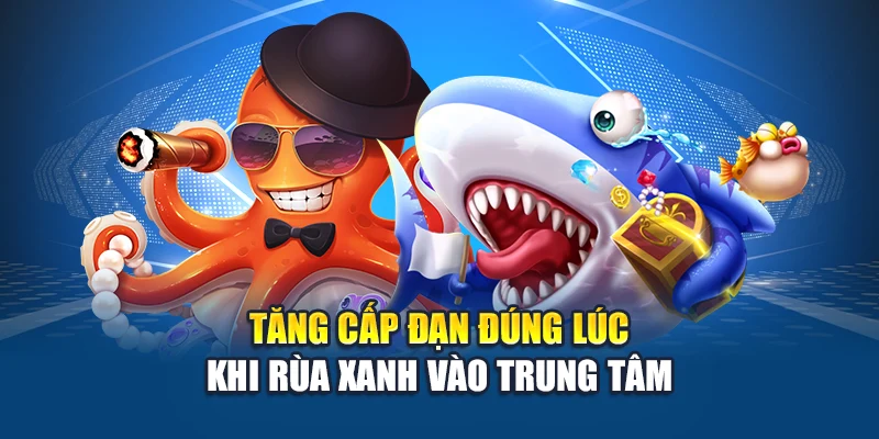 Tăng cấp đạn đúng lúc khi rùa xanh vào trung tâm